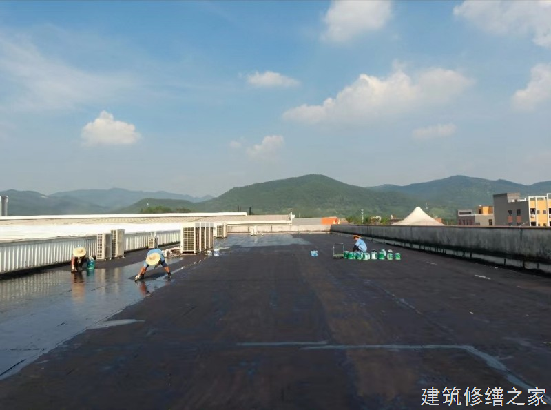 湖州2026长兴县 彩钢瓦除锈翻新防腐 排名前十的源头厂家